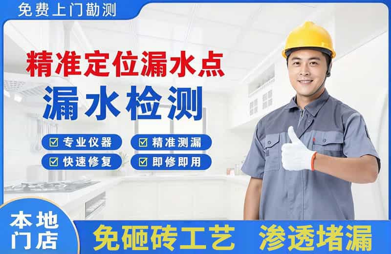 西秀精准测漏点